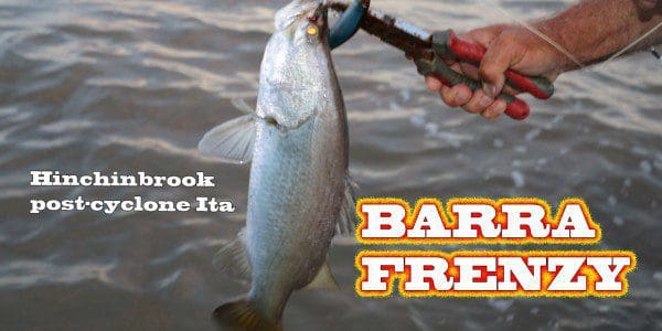 captioned-barra-frenzy_white-600×300 captioned-barra-frenzy_white-600x300