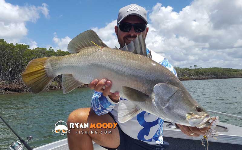 Westo with nice tagged barramundi