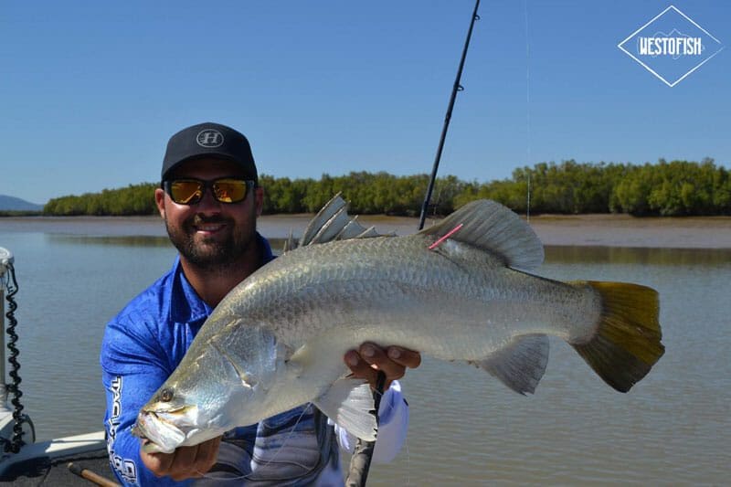 ANSA use a pink tag to tag and release fish