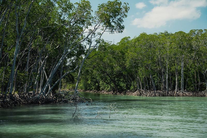 No name creek Princess Charlotte Bay