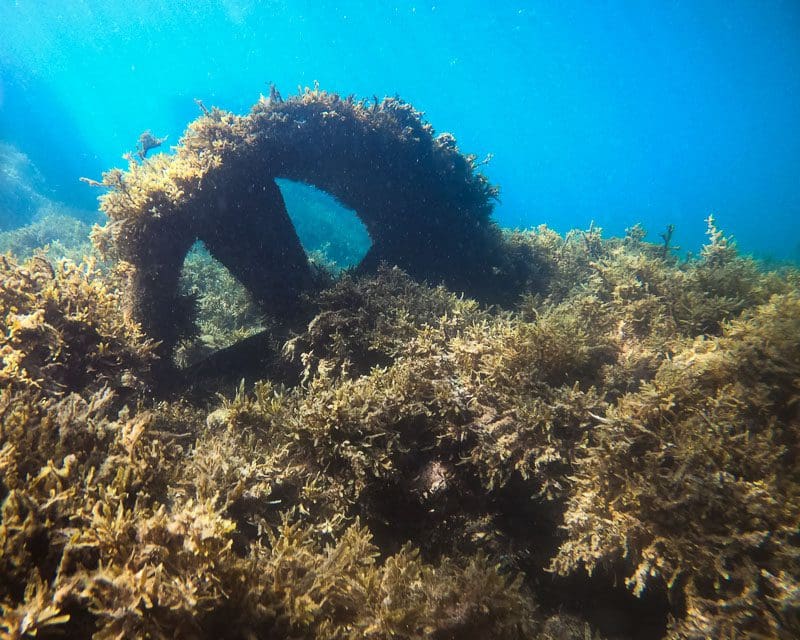 Propeller from shipwreck
