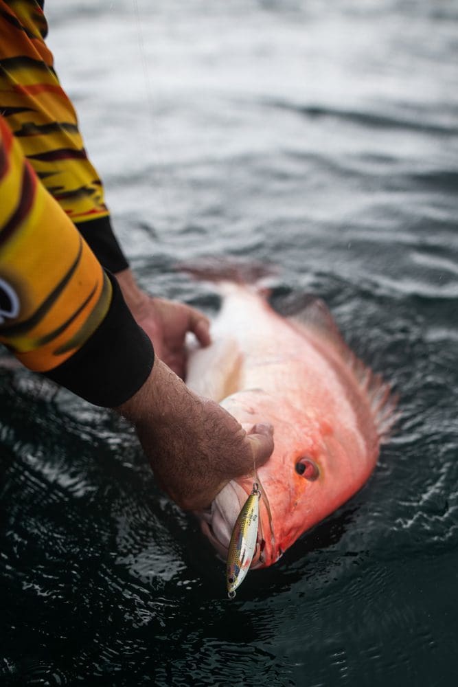 Levitator jigs for saddle tail snapper