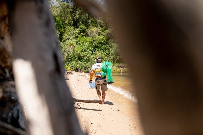 To catch and cook Golden Snapper first catch the bait.