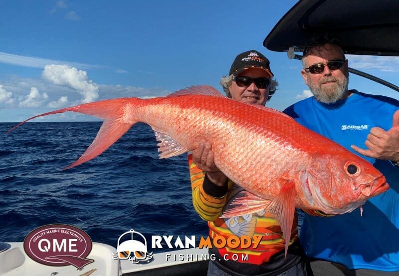 A 129 cm queen snapper caught deep drop fishing