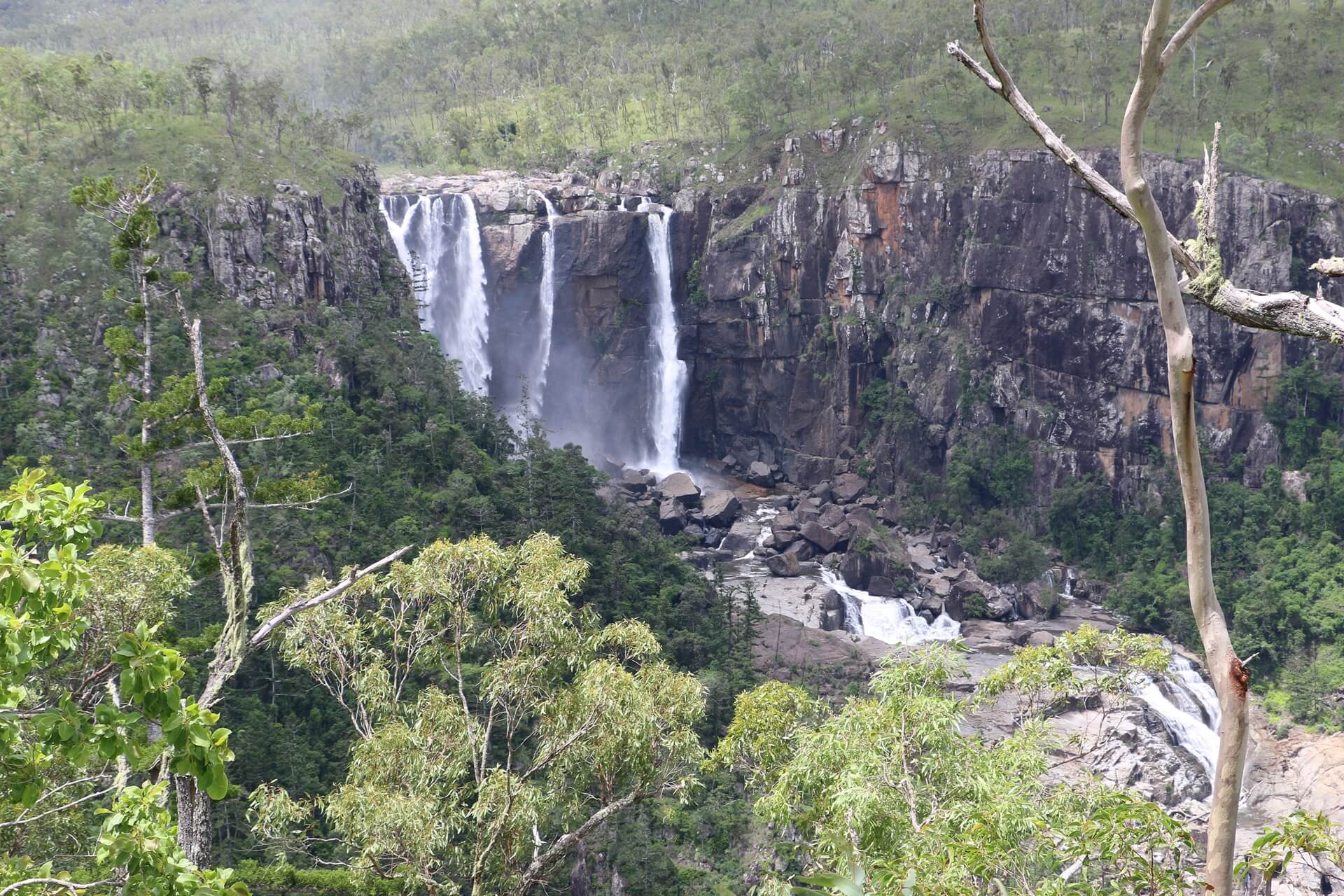 Kirrama trip 70D 2015-02-14 016 Kirrama trip 70D 2015-02-14 016