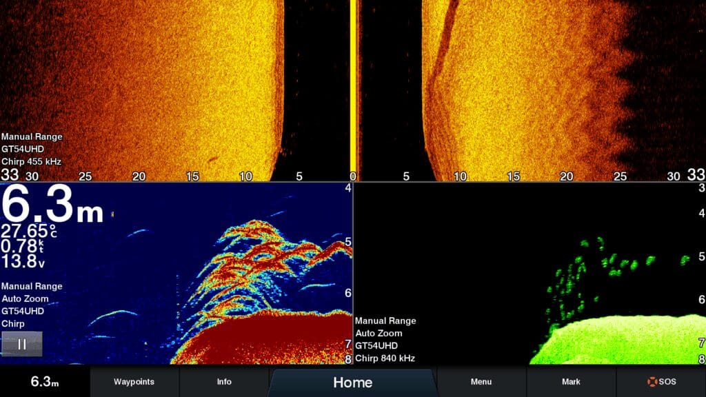 Golden snapper sitting on a ledge screen shot.