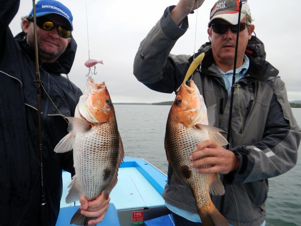 Golden snapper caught on vibes