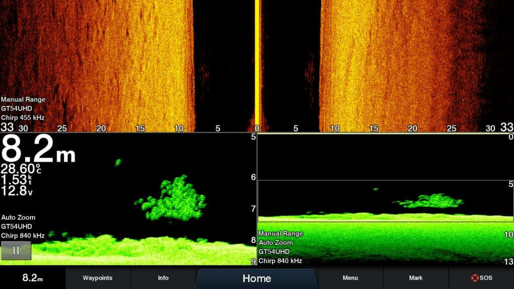 Downs scan image of golden snapper in 8 metres of water