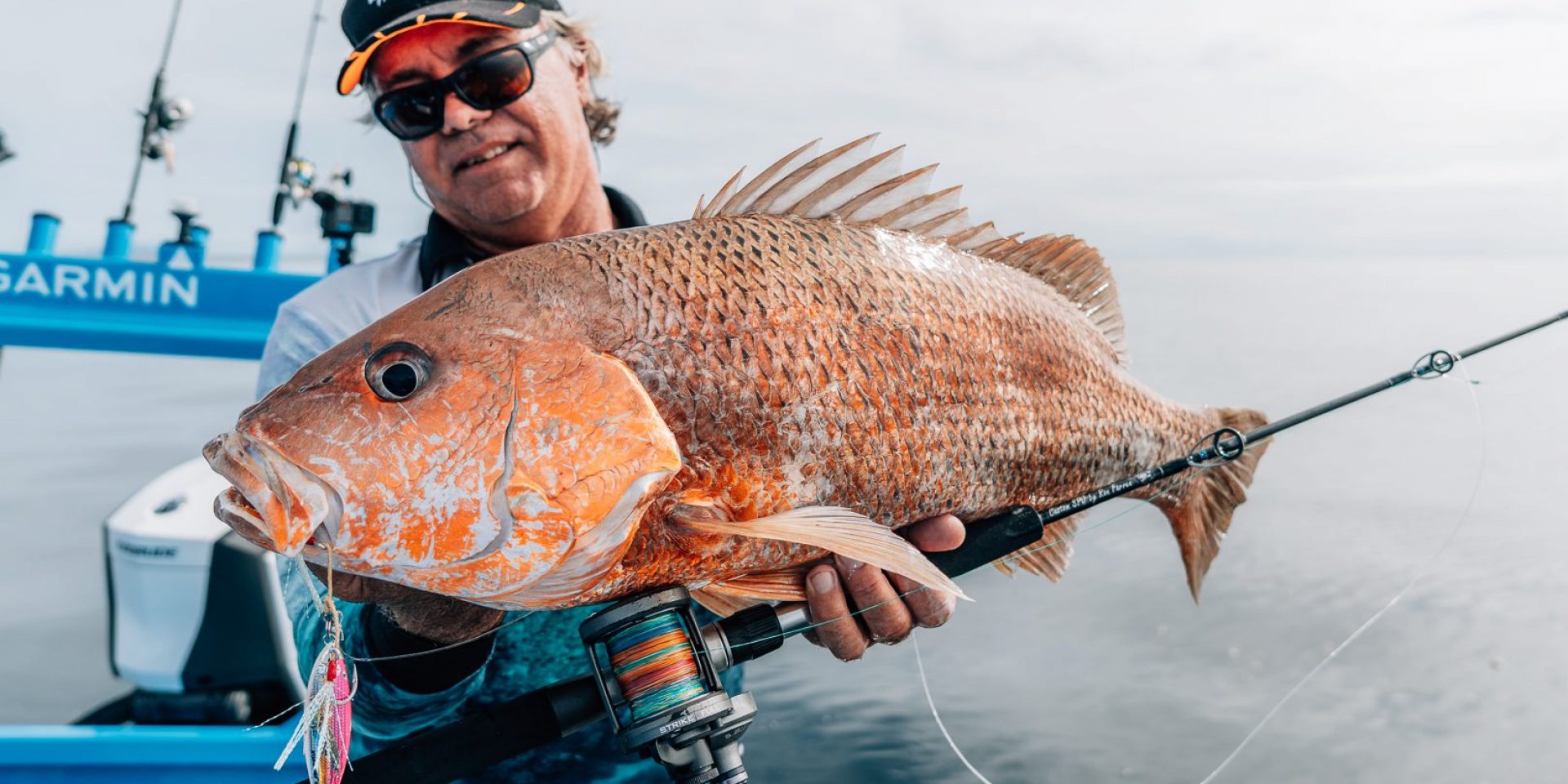 Golden snapper fish lift with lure in mouth